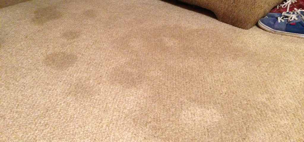 A commercial carpet stain reappearing after cleaning.